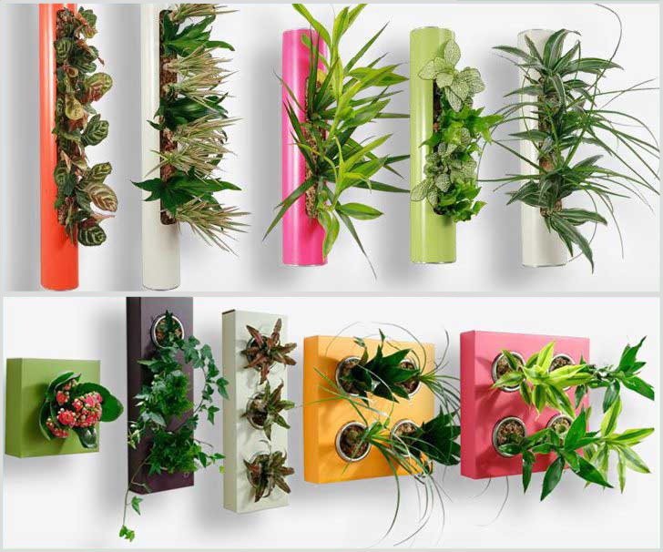 фитомодули FlowerBox для декора помещений декор и фитодизайн помещений